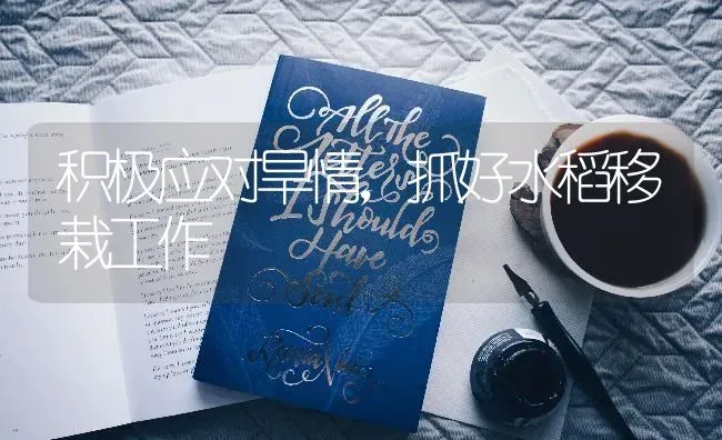 积极应对旱情，抓好水稻移栽工作 | 粮油作物种植