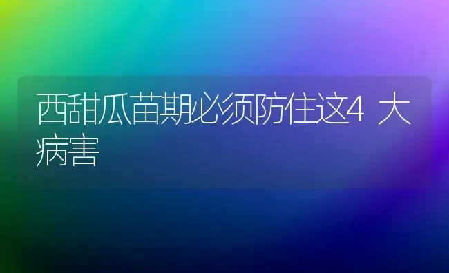 西甜瓜苗期必须防住这4大病害 | 瓜果种植