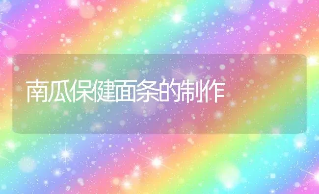 南瓜保健面条的制作 | 蔬菜种植