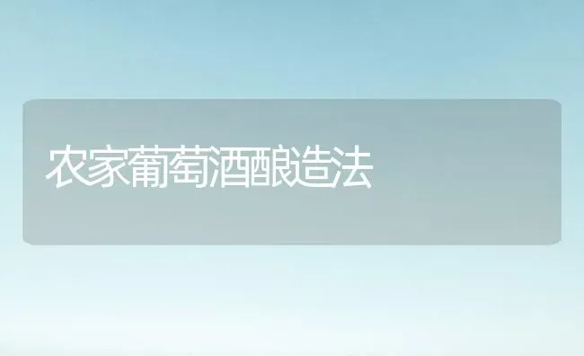 农家葡萄酒酿造法 | 瓜果种植