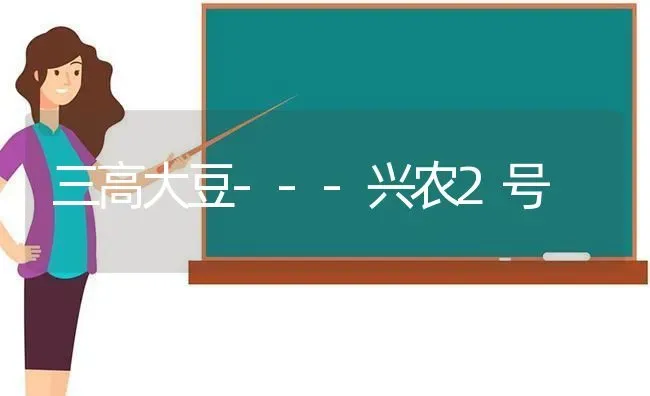 三高大豆---兴农2号 | 粮油作物种植