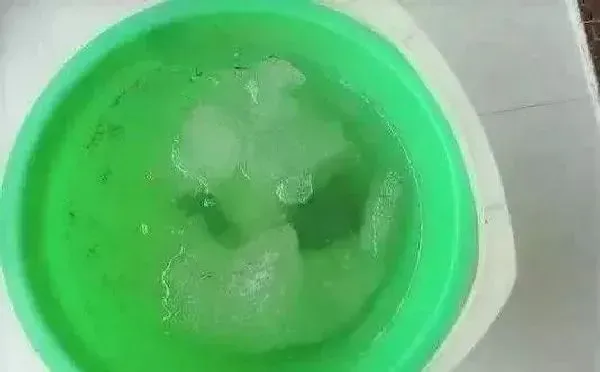 植物浇水|雪水浇花好不好（下雪化的水浇花有什么好处）