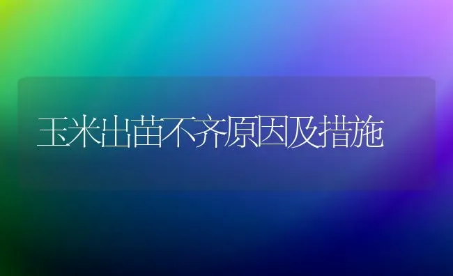 玉米出苗不齐原因及措施 | 粮油作物种植