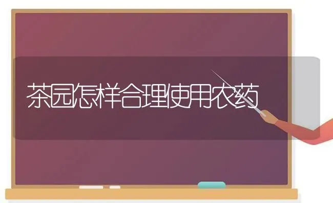 茶园怎样合理使用农药 | 种植病虫害防治