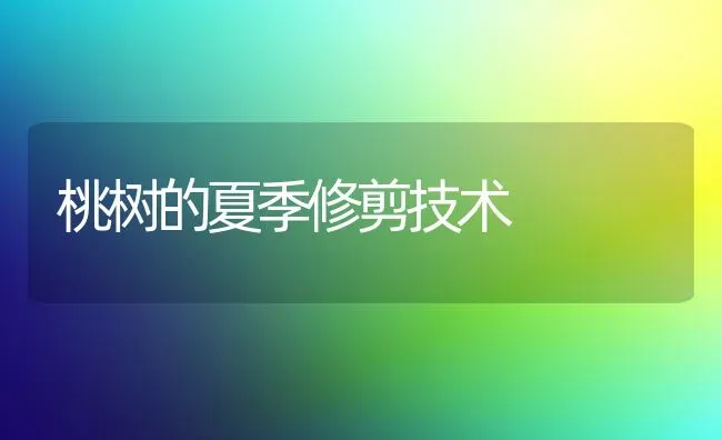 桃树的夏季修剪技术 | 瓜果种植