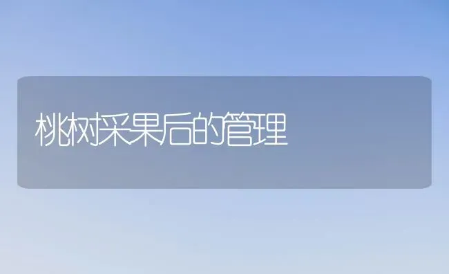 桃树采果后的管理 | 瓜果种植