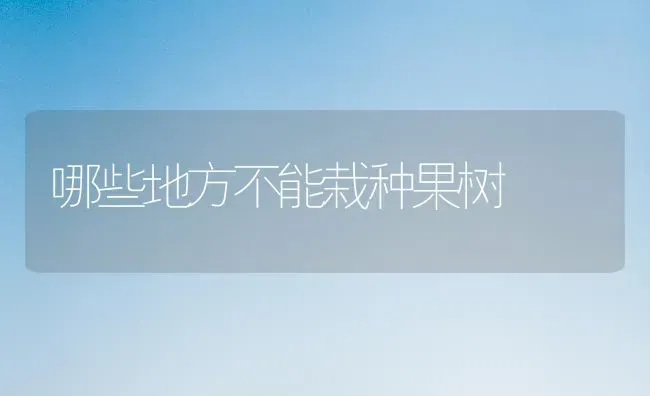 哪些地方不能栽种果树 | 瓜果种植