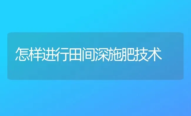 怎样进行田间深施肥技术 | 种植肥料施肥