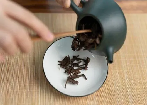 植物泡水|普洱茶属于什么类型的茶叶（普洱茶类型特点及产区分布）