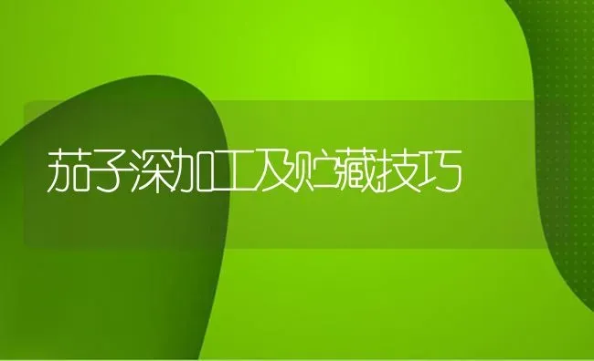 茄子深加工及贮藏技巧 | 蔬菜种植