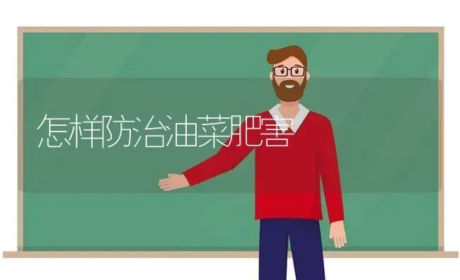怎样防治油菜肥害 | 粮油作物种植