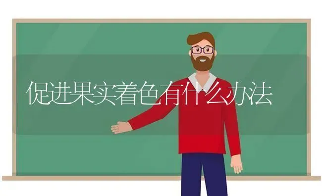 促进果实着色有什么办法 | 瓜果种植