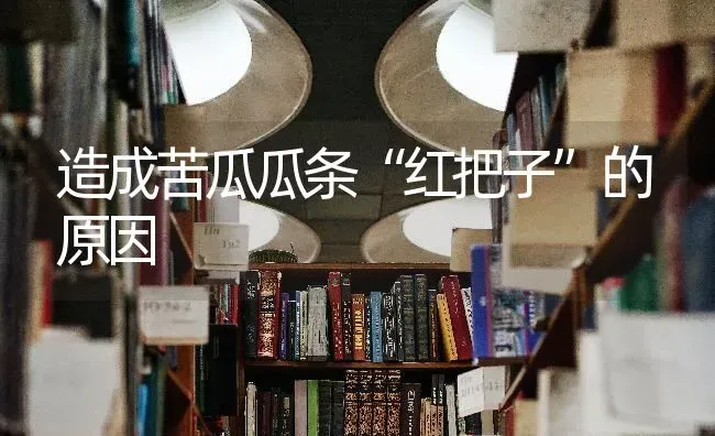 造成苦瓜瓜条“红把子”的原因 | 蔬菜种植