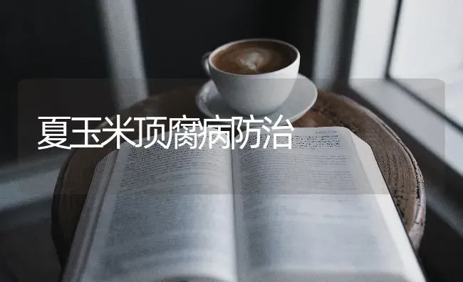夏玉米顶腐病防治 | 粮油作物种植