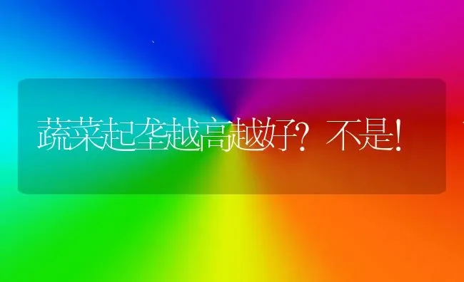 蔬菜起垄越高越好？不是！ | 蔬菜种植