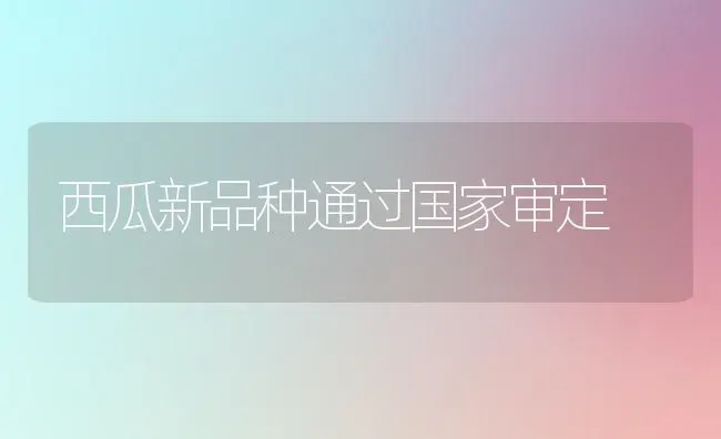 西瓜新品种通过国家审定 | 瓜果种植