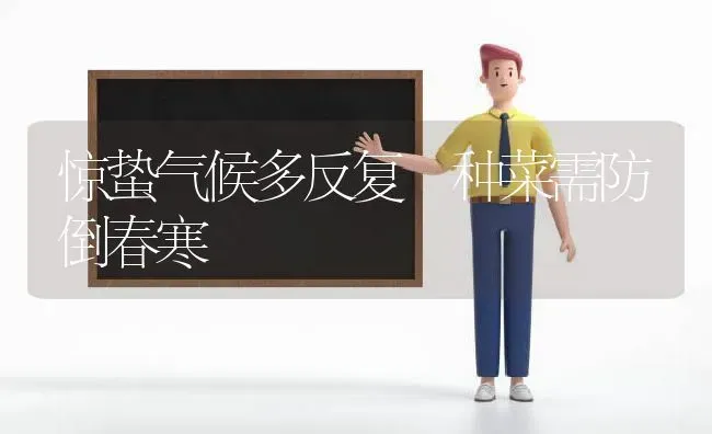 惊蛰气候多反复 种菜需防倒春寒 | 蔬菜种植