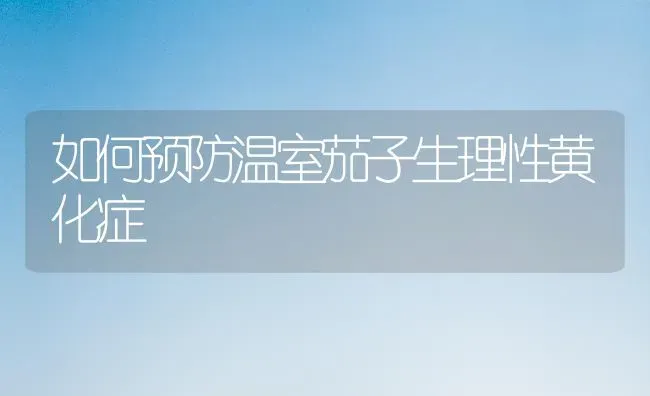 如何预防温室茄子生理性黄化症 | 蔬菜种植