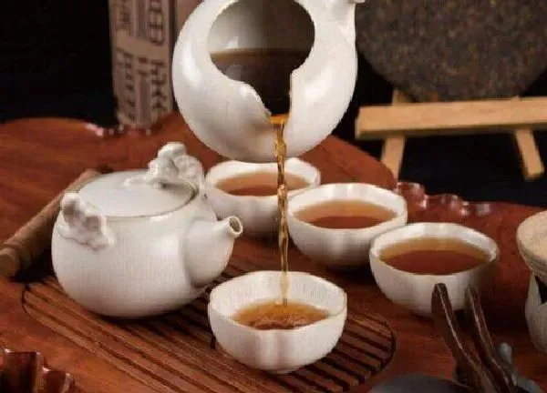 植物浇水|隔夜茶浇花有什么好处与作用 适合浇什么花