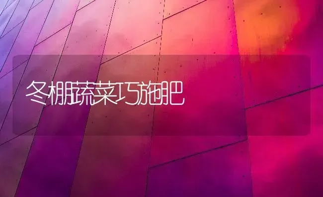冬棚蔬菜巧施肥 | 蔬菜种植