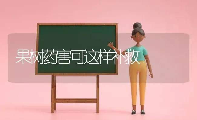 果树药害可这样补救 | 瓜果种植