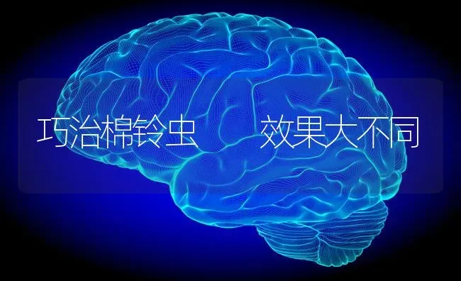 巧治棉铃虫  效果大不同 | 瓜果种植