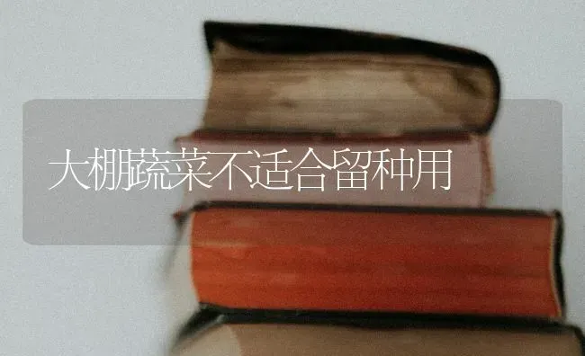 大棚蔬菜不适合留种用 | 蔬菜种植
