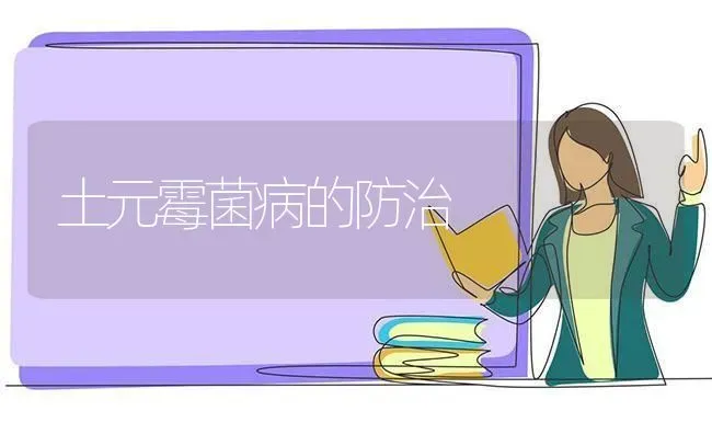 沼液种西瓜具体技术要点是什么？ | 瓜果种植