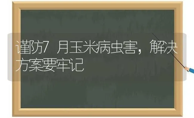 谨防7月玉米病虫害，解决方案要牢记 | 种植病虫害防治