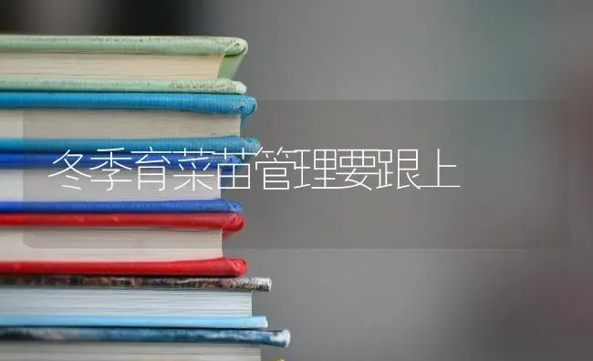 冬季育菜苗管理要跟上 | 蔬菜种植