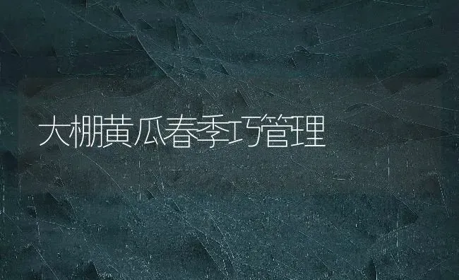 大棚黄瓜春季巧管理 | 蔬菜种植