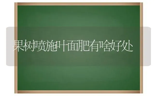 果树喷施叶面肥有啥好处 | 瓜果种植