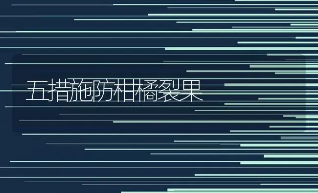 五措施防柑橘裂果 | 瓜果种植