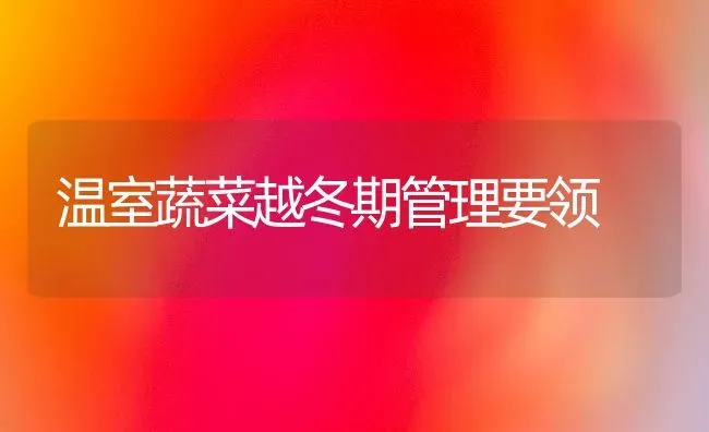 温室蔬菜越冬期管理要领 | 蔬菜种植
