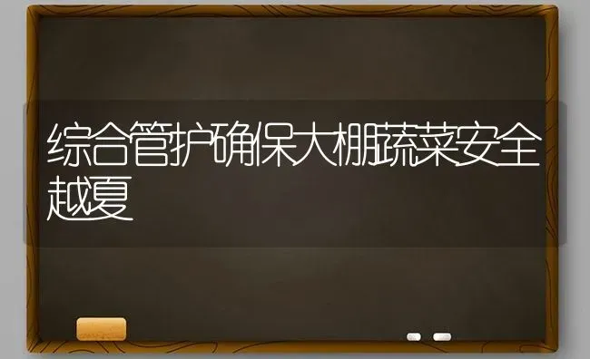 综合管护确保大棚蔬菜安全越夏 | 蔬菜种植