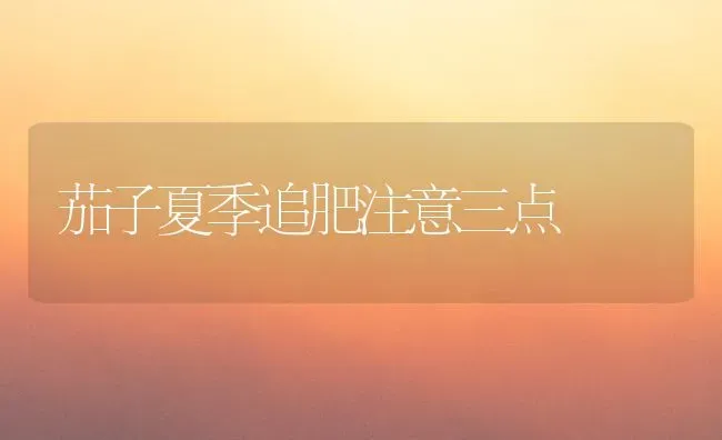 茄子夏季追肥注意三点 | 蔬菜种植