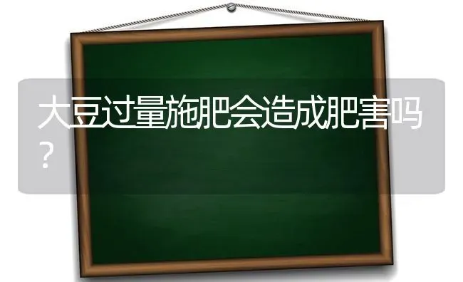 大豆过量施肥会造成肥害吗？ | 粮油作物种植