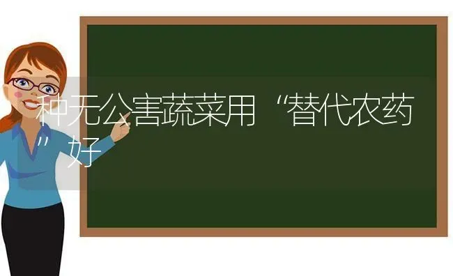 种无公害蔬菜用“替代农药”好 | 蔬菜种植