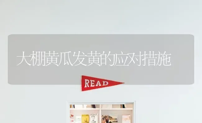 大棚黄瓜发黄的应对措施 | 蔬菜种植