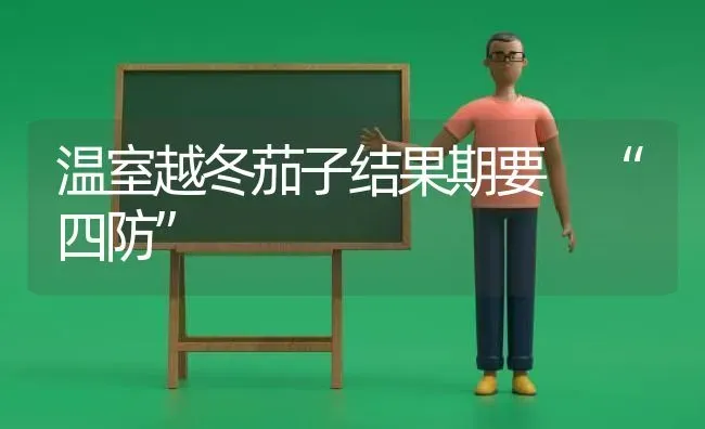 温室越冬茄子结果期要 “四防” | 瓜果种植