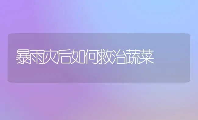 暴雨灾后如何救治蔬菜 | 蔬菜种植