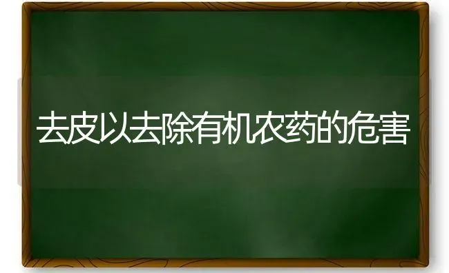 去皮以去除有机农药的危害 | 种植病虫害防治