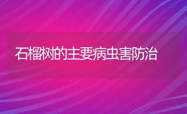 石榴树的主要病虫害防治 | 种植病虫害防治