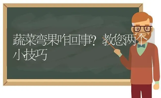 蔬菜弯果咋回事？教您两个小技巧 | 蔬菜种植