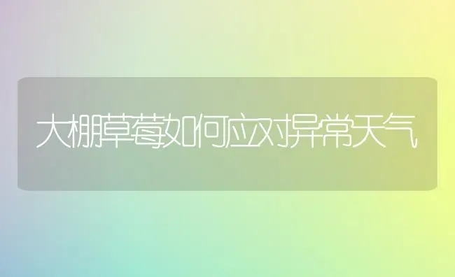 大棚草莓如何应对异常天气 | 瓜果种植