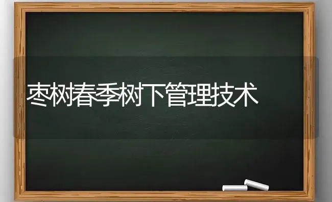 枣树春季树下管理技术 | 瓜果种植