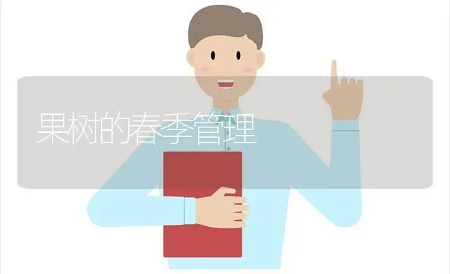 果树的春季管理 | 瓜果种植