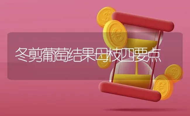 冬剪葡萄结果母枝四要点 | 瓜果种植