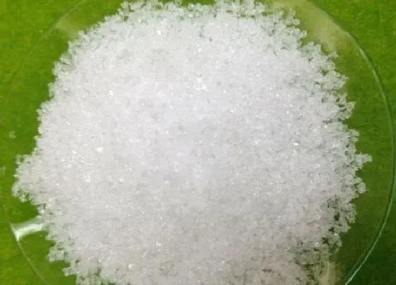 植物施肥|磷酸二氢钾浇兰花怎样兑水，磷酸二氢钾浇花起什么作用）