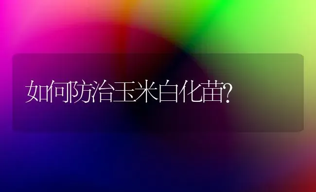 如何防治玉米白化苗？ | 粮油作物种植